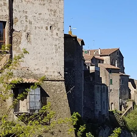 La Chascona Di Farnese Casa Di Tufo Nel Borgo Apartamento Exterior foto