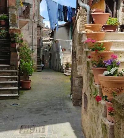 La Chascona Di Farnese Casa Di Tufo Nel Borgo Apartamento Exterior foto