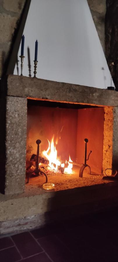 La Chascona Di Casa Di Tufo Nel Borgo *