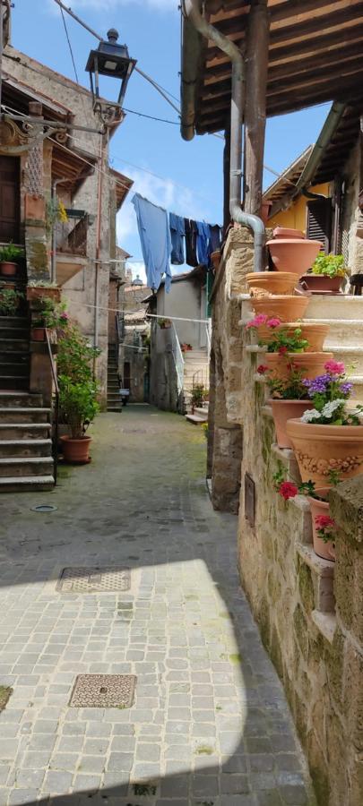 Apartment La Chascona Di Casa Di Tufo Nel Borgo Farnese