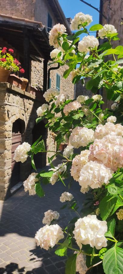 La Chascona Di Casa Di Tufo Nel Borgo * Farnese