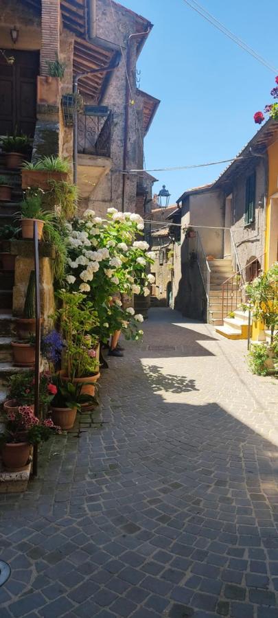 La Chascona Di Casa Di Tufo Nel Borgo Apartment Farnese